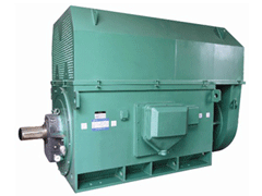 Y5604-10Y系列6KV高压电机